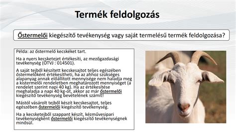 Őstermelői tevékenységek