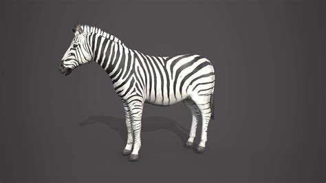 3D zebra Dorogon