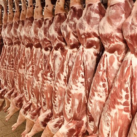 A Zakar és Társa Kft. csapata