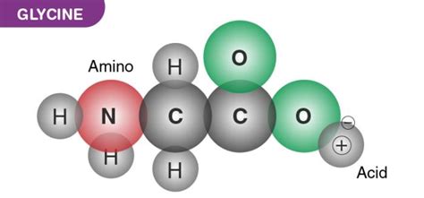 A glicin kémiai szerkezete