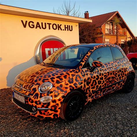 Alapjárati ingadozás