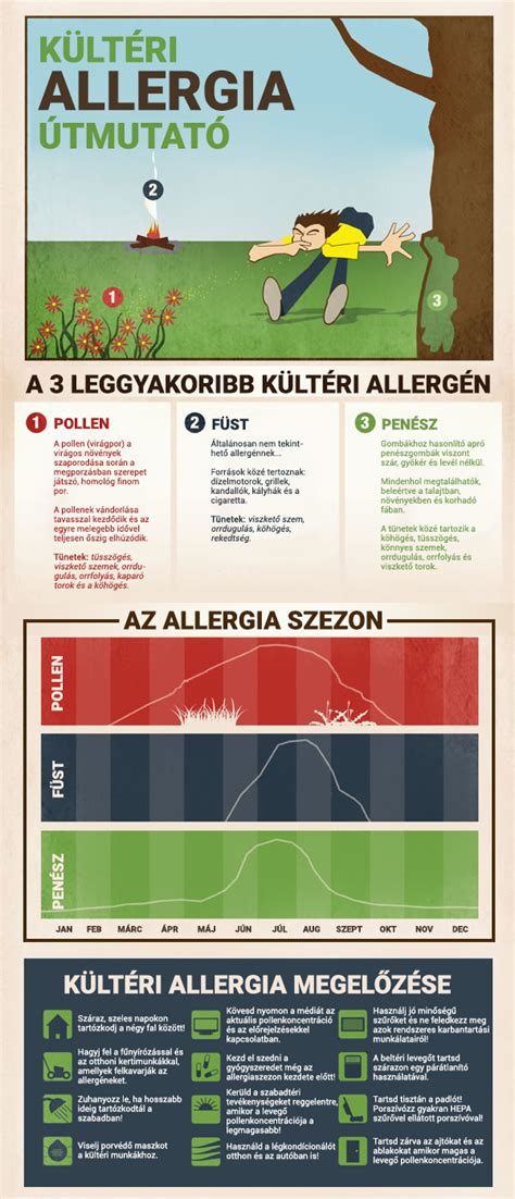 Allergia útmutató infografika