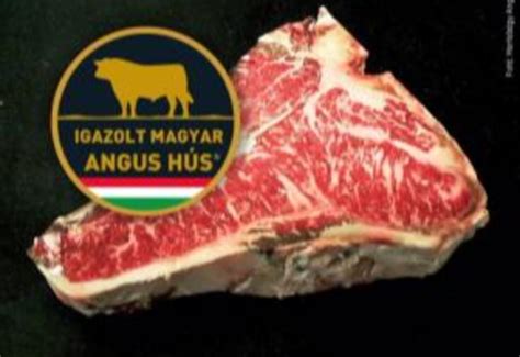 Angus marhahús összehasonlítás