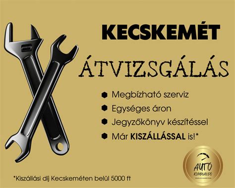 Autó átvizsgálás