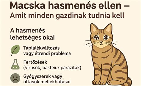 Autólopás megelőzési tippek