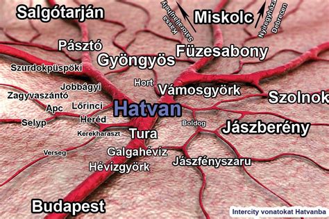 Autómentés Hatvanban