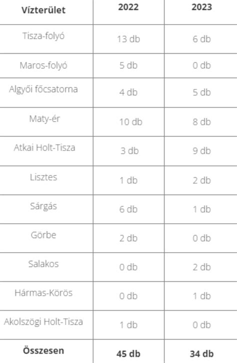 Cégautóval elkövetett szabálysértések