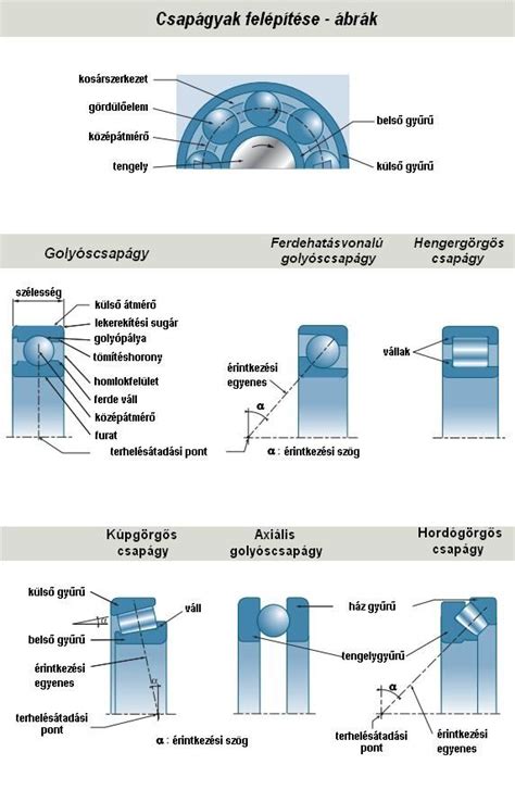Csapágy típusok infografika