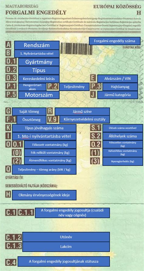 Forgalmi engedély és törzskönyv