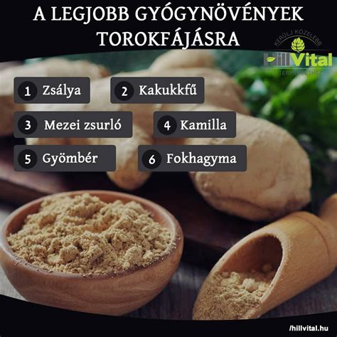 Gyógynövények torokfájásra