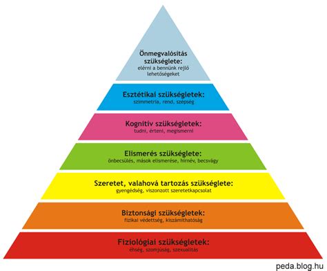 Hatékonysági ábra