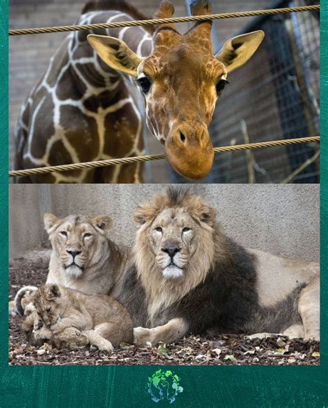 Hely két pohárnak és az iratoknak