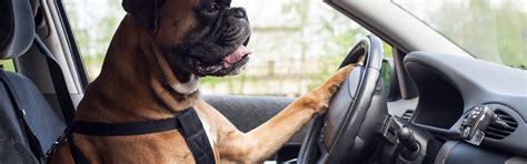 Intercooler elhelyezése az autóban