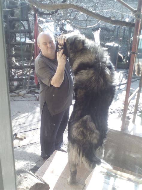 Kézifék be van húzva