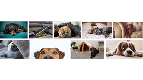 Különböző stílusú dísztárcsák