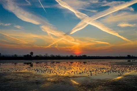 Kiskunsági Nemzeti Park terepjáróval