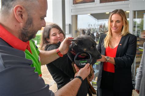 Kutyachip leolvasó a MOL benzinkúton