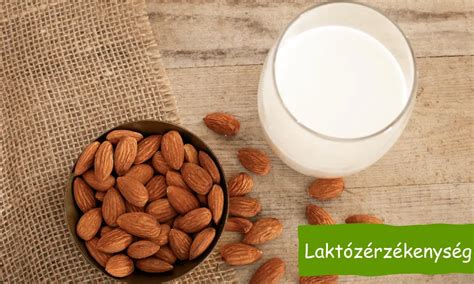 Laktózérzékenység