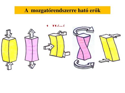 Lengőkar szilentjeire ható erők