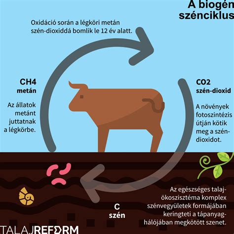 Leolvasztás folyamata