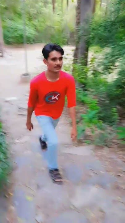 MOHANet Járőrellenőrző Rendszer