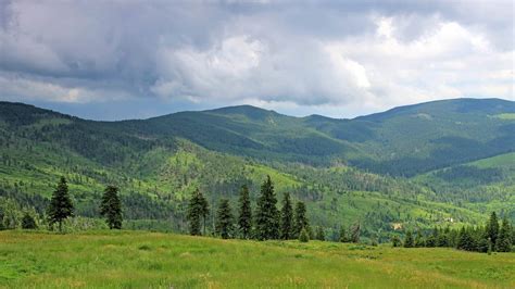 Madarasi Hargita nyáron