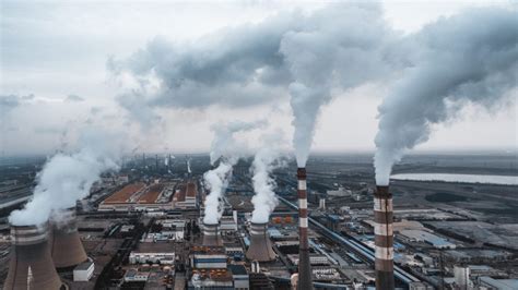 Mocsári gázok keletkezése