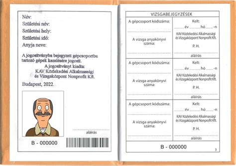 Nemzetközi Jogosítvány minta