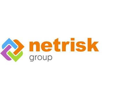 Netrisk logo