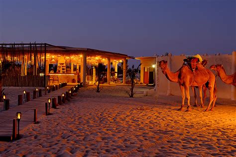 Olajfogyasztás okai