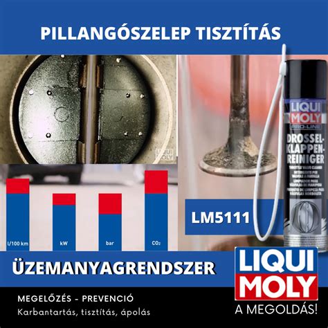 Pillangószelep tisztítása