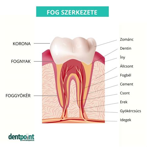 Ponyvagarazs szerkezete