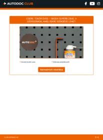 Skoda Superb tükör csere