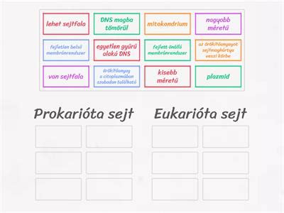 Sportkipufogók összehasonlítása