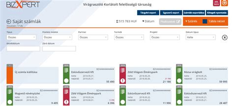 Számlázó program funkciói