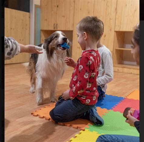 Terápiás kutya látogatása a kórházban