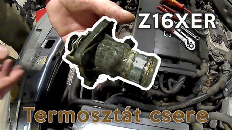 Termosztát csere