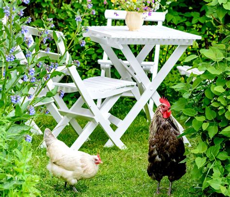 Tiszta és ápolt kerékpár