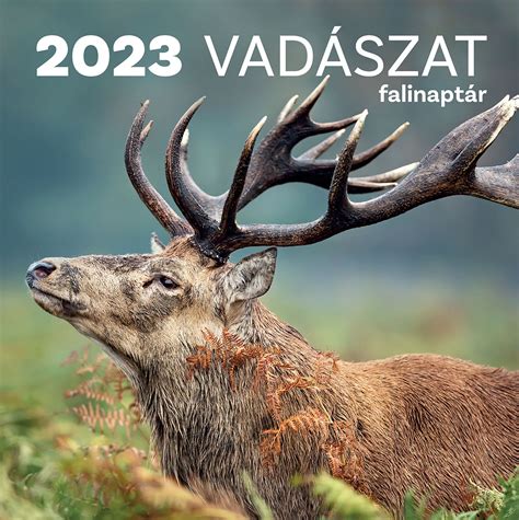 Vadászat terepjáróval