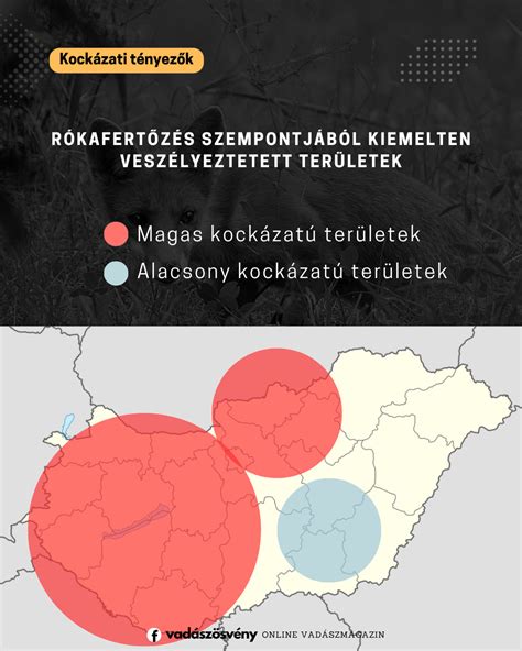 Veszélyeztetett autótípusok katalizátorlopás szempontjából