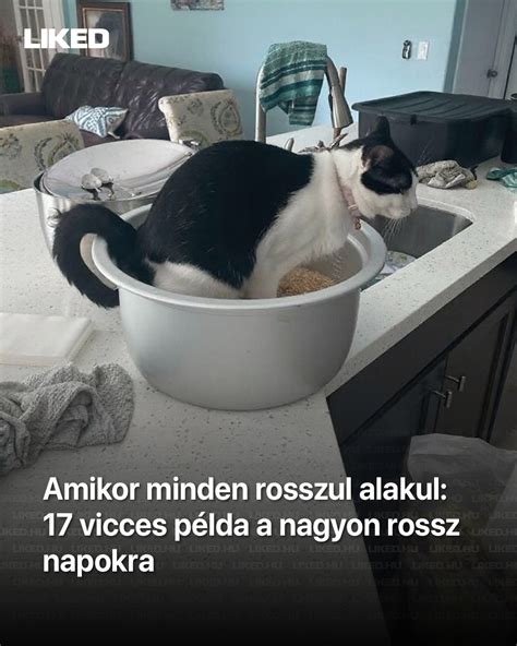 Vicces autóhirdetés példa