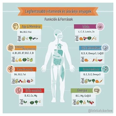 Vitaminok és ásványi anyagok az immunrendszerért