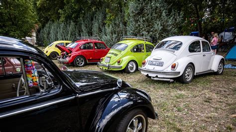 Volkswagen Találkozó