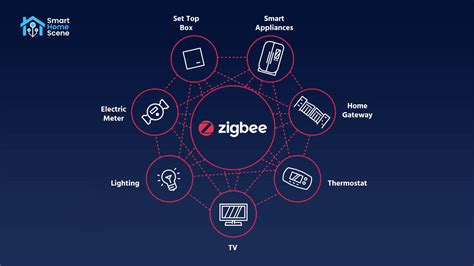 ZigBee hálózat