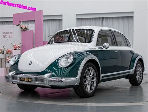 ora beetle